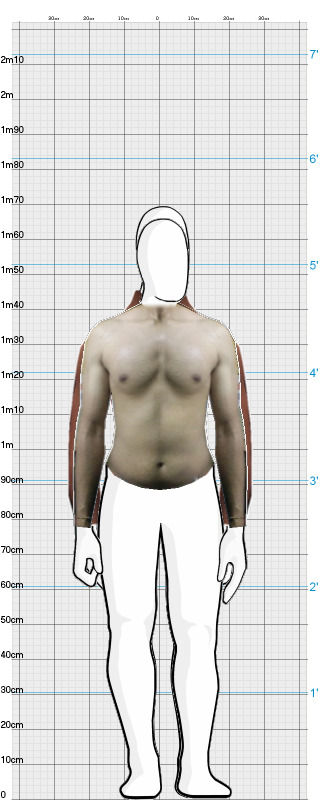 Full Size Comparison