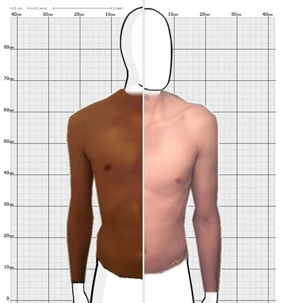 Torso Comparison