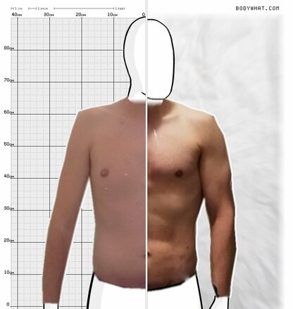 Torso Comparison