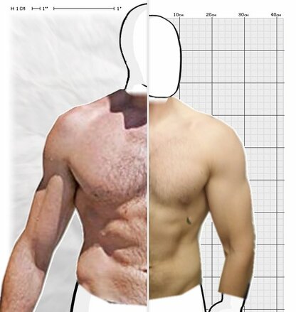 Torso Comparison