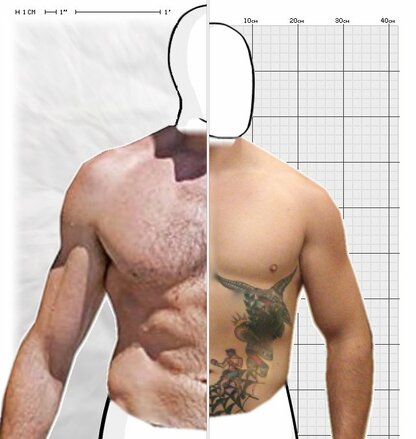 Torso Comparison