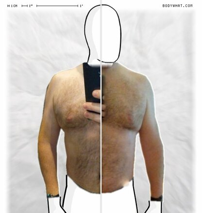 Torso Comparison