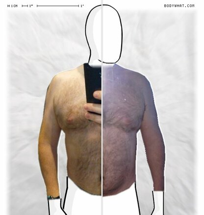 Torso Comparison