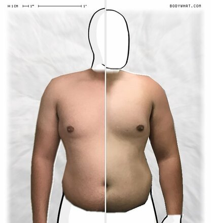 Torso Comparison