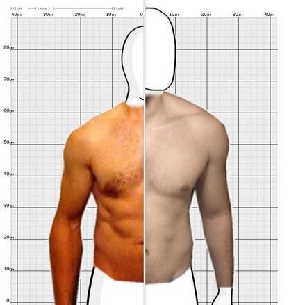 Torso Comparison