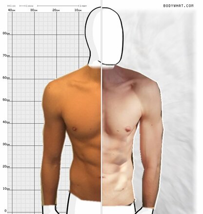 Torso Comparison