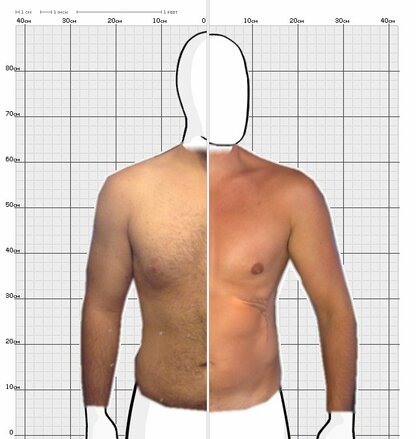 Torso Comparison