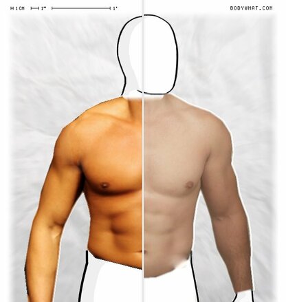 Torso Comparison