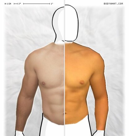 Torso Comparison