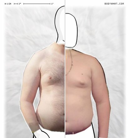 Torso Comparison