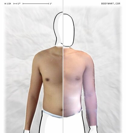 Torso Comparison