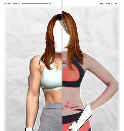Torso Comparison