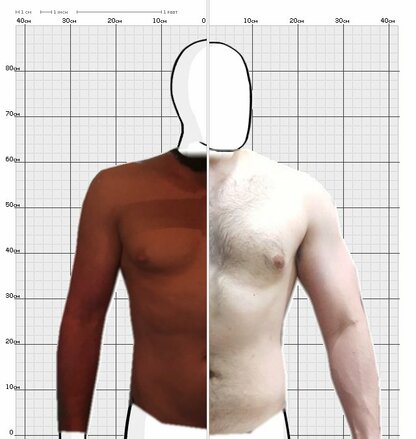 Torso Comparison