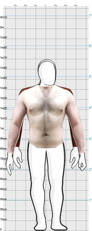 Full Size Comparison