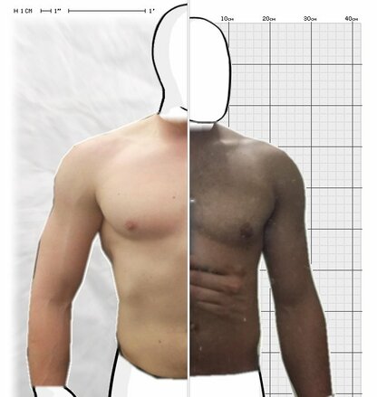 Torso Comparison