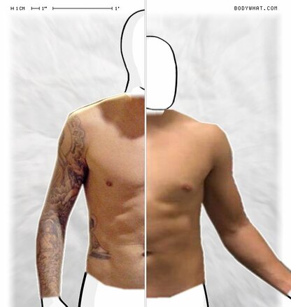 Torso Comparison