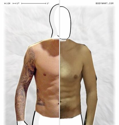 Torso Comparison