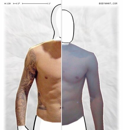 Torso Comparison