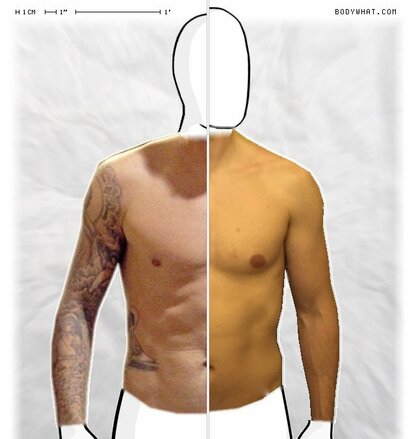 Torso Comparison