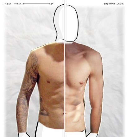 Torso Comparison