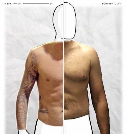 Torso Comparison