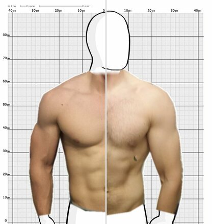 Torso Comparison