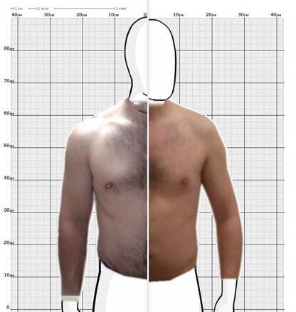 Torso Comparison