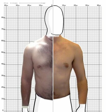 Torso Comparison