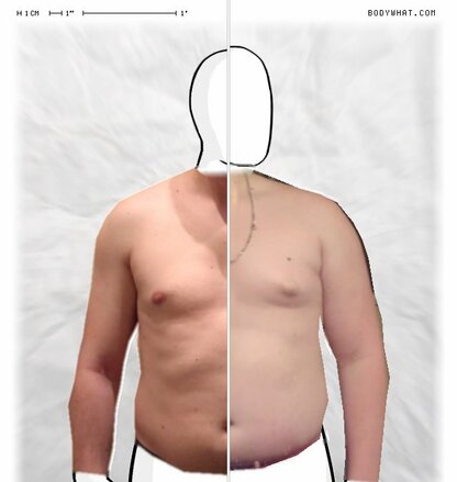 Torso Comparison