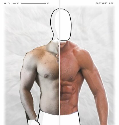 Torso Comparison