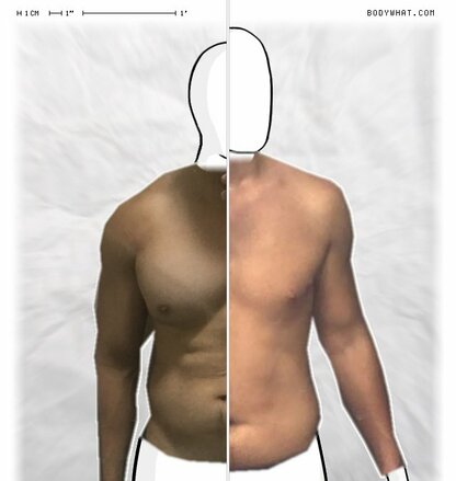 Torso Comparison