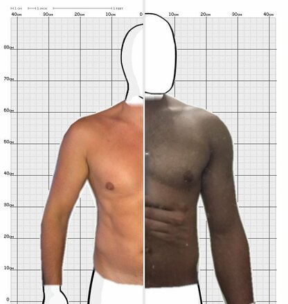 Torso Comparison