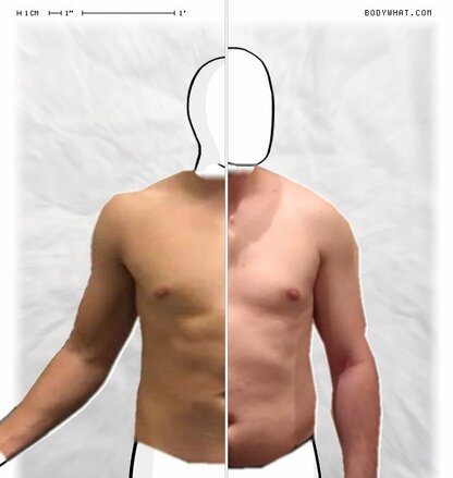 Torso Comparison