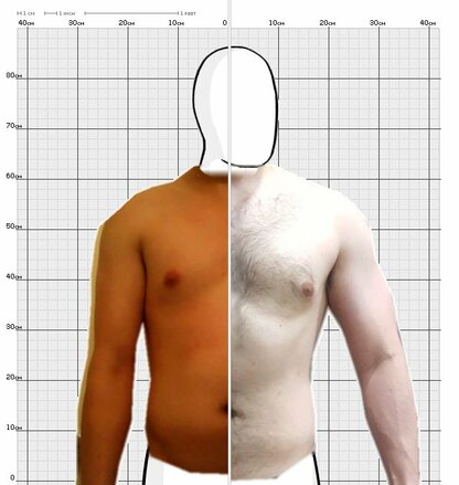 Torso Comparison