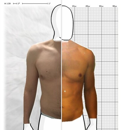 Torso Comparison