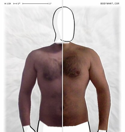 Torso Comparison