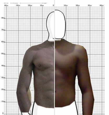 Torso Comparison