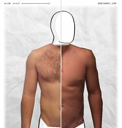 Torso Comparison