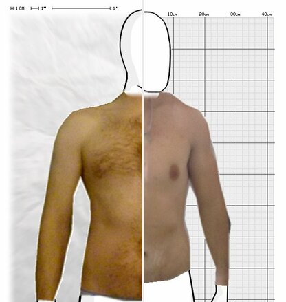 Torso Comparison