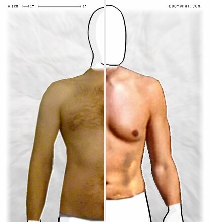 Torso Comparison
