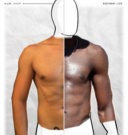 Torso Comparison