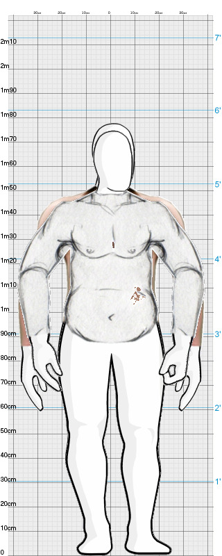 Full Size Comparison