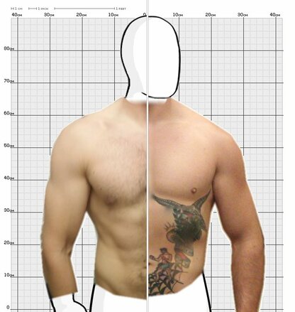 Torso Comparison