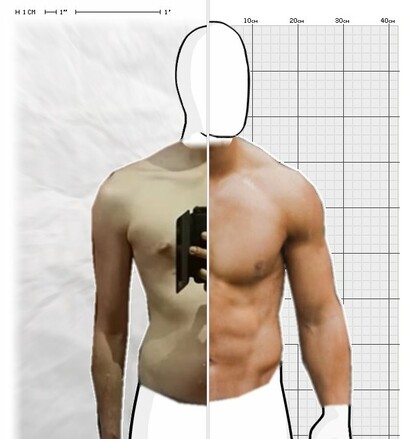 Torso Comparison