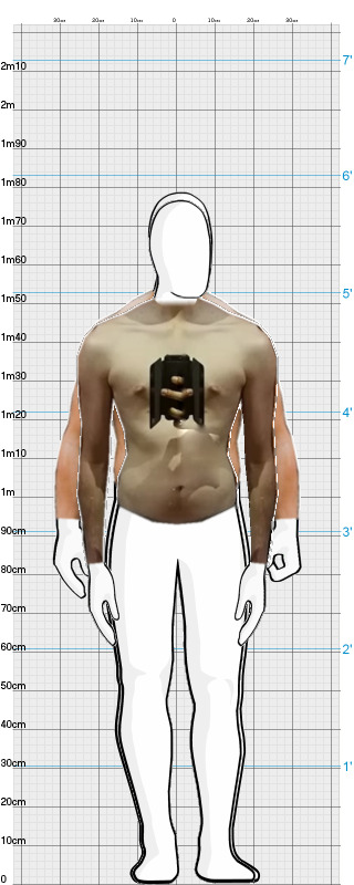 Full Size Comparison