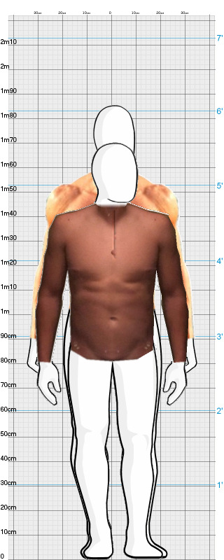 Full Size Comparison