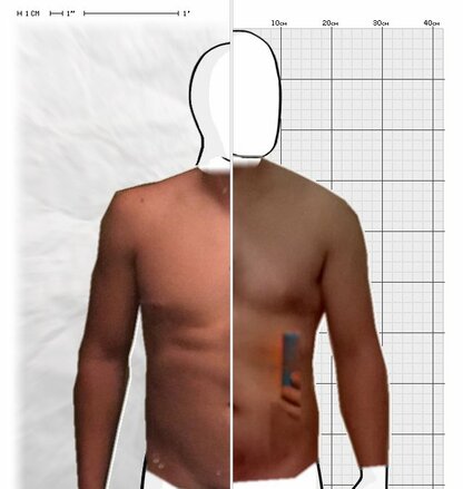 Torso Comparison