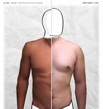 Torso Comparison