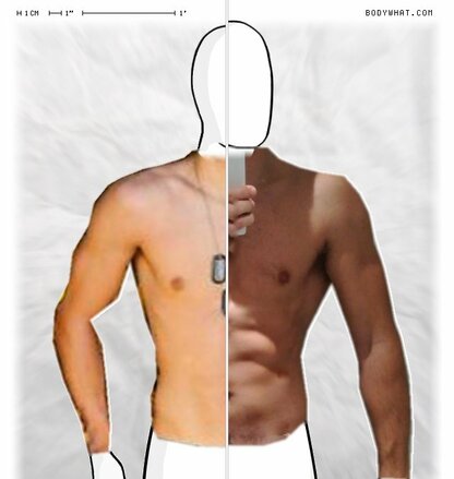 Torso Comparison