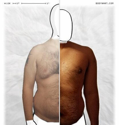 Torso Comparison